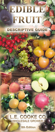 Edible Fruit Descriptive Guide