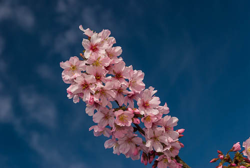 20080303-_DSC6905-smaller