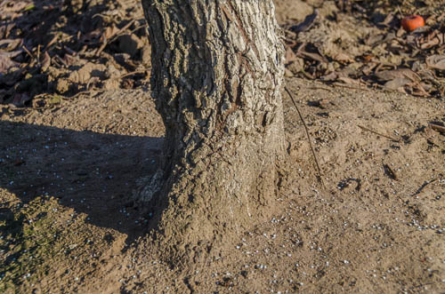 20130112-_DSD1929-smaller