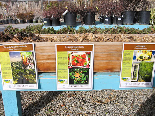 lecooke-signs-006-smaller