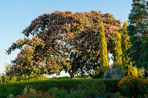 20100721-_dsc0669-smaller