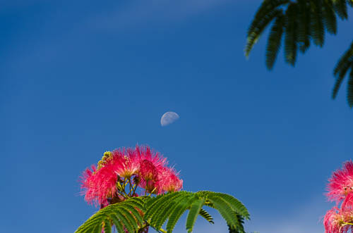 20130530-_DSD8562-Edit-smaller