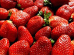 Berry Berry